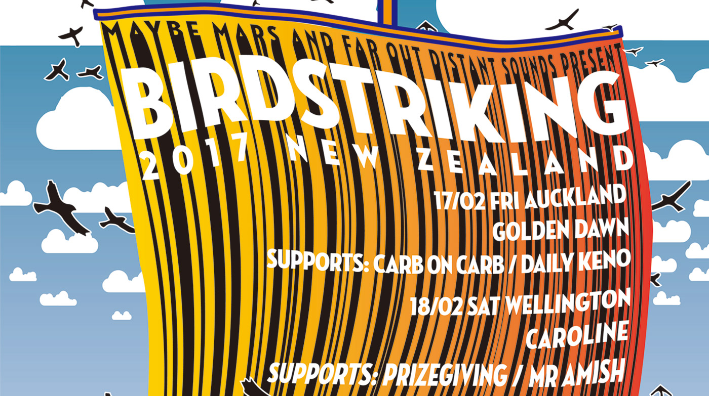 Read more about the article Birdstriking announces New Zealand shows